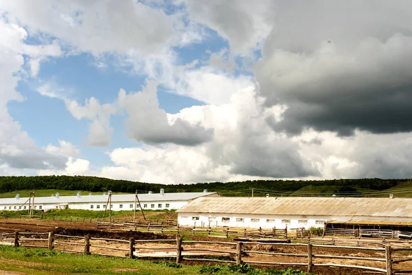 Rural Russian European Farm in Summer — Stock Photo, Image