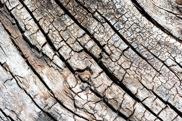 Macro of Aged Vintage Wood Textures — Stock Photo, Image