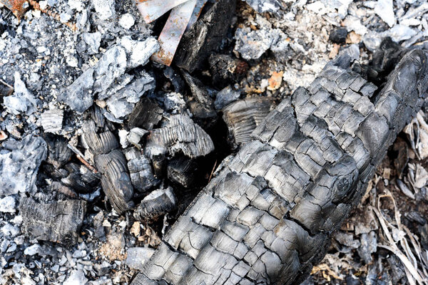 Горящий древесный уголь и потухший огонь

