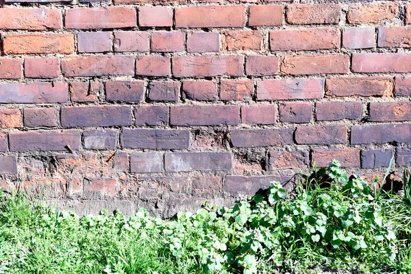Old Crumbling Brick Wall and Grass