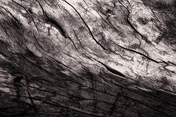 Macro of Aged Vintage Wood Textures — Stock Photo, Image