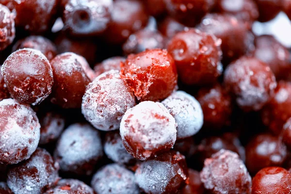 Cerejas selvagens congeladas com gelo — Fotografia de Stock