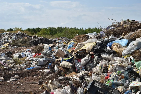Mülldeponie in der Natur — Stockfoto