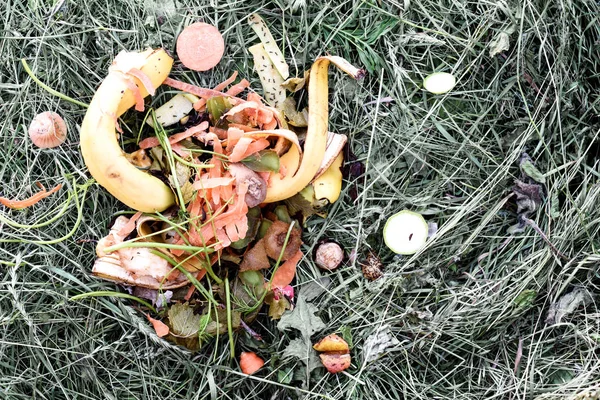 Biologisch huishoudelijk afval in een compost bak — Stockfoto