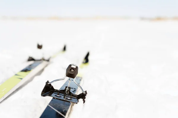 Paar Langlaufski auf Schnee — Stockfoto