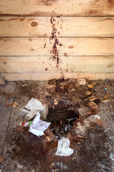 Utomhus smutsig toalett — Stockfoto
