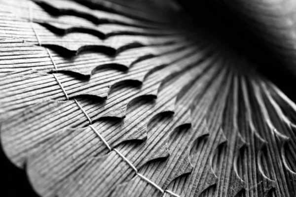 Makro drewniane Craft tekstura tło — Zdjęcie stockowe