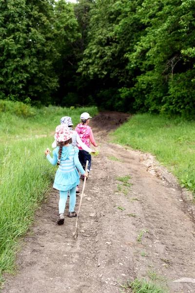 Chemin de randonnée pour trois enfants Forest — Photo