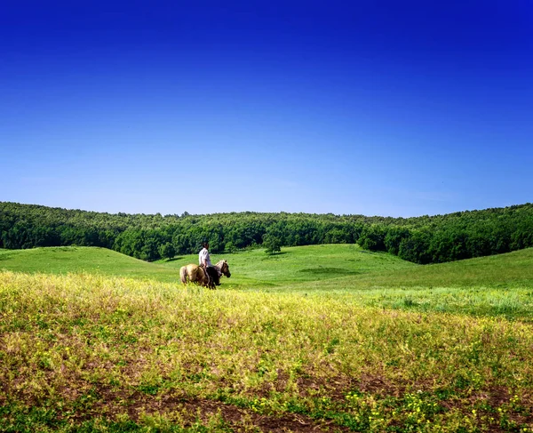 Man Riding a Horse in a Summer Pasture — Stock Photo, Image