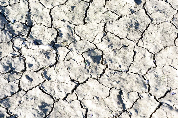 Dried Cracked Mud Drought Background — Stock Photo, Image