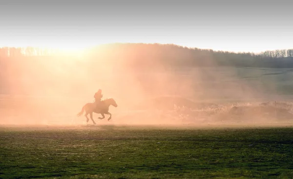 Silhouette solitaire sur cheval coucher de soleil — Photo