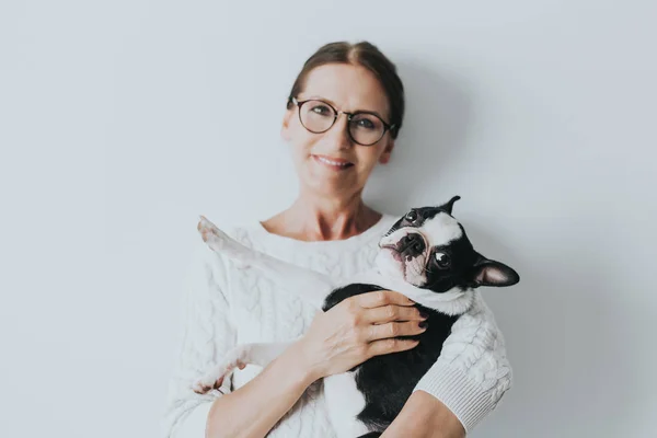 Portrait of happy young adult in good mood  at home. Happy housewife fondling french bulldog with pleasure. Copy space, family concept.Indoor portrait of smiling woman with dog on grey background.