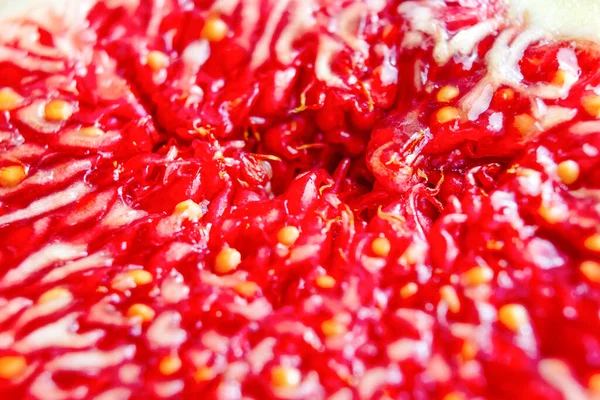 İncir tohumlarının arkaplanı kapat, incir tohumları