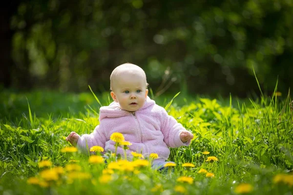 Menina Pequena Bonita Sentada Prado Dente Leão Primavera Pouco Bebê — Fotografia de Stock