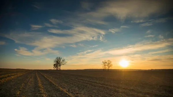 Bela Noite Céu Colorido Sobre Arados Campos Árvores Paisagem Típica — Fotografia de Stock