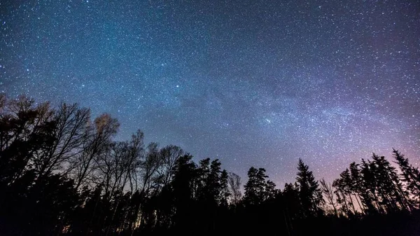 Ciel Étoilé Nocturne Avec Voie Lactée Dessus Forêt Printemps — Photo