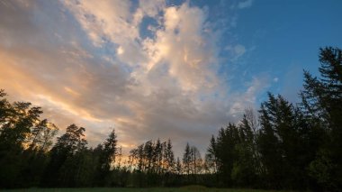 Çayır ve ormanın üzerinde güzel bir akşam ya da sabah gökyüzü. Polonya kırsal kesimi.