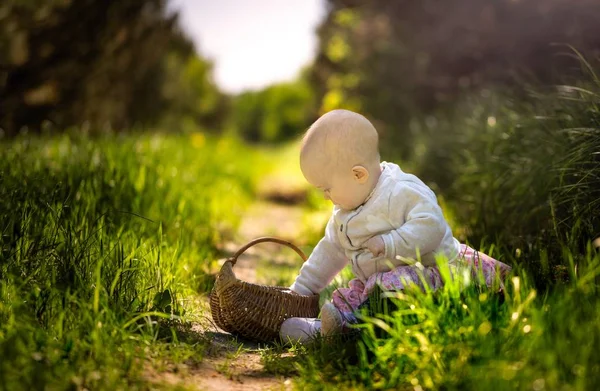 Menina Pequena Caucasiana Sentado Grama Floresta Linda Criança Menina Retrato — Fotografia de Stock