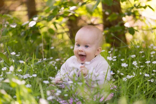 小さな白人の赤ん坊の女の子が森の中の草の中に座っている 美しいです幼児女の子ポルノの性質 — ストック写真