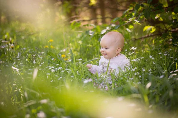 Menina Pequena Caucasiana Sentado Grama Floresta Linda Criança Menina Retrato — Fotografia de Stock