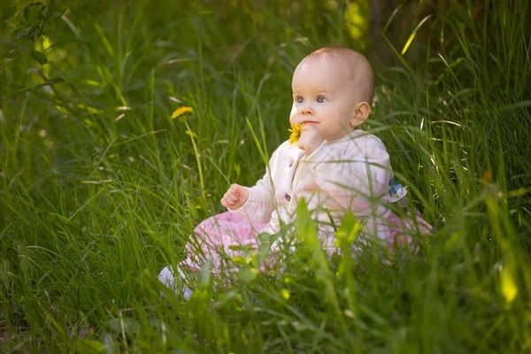 Menina Pequena Caucasiana Sentado Grama Floresta Linda Criança Menina Retrato — Fotografia de Stock