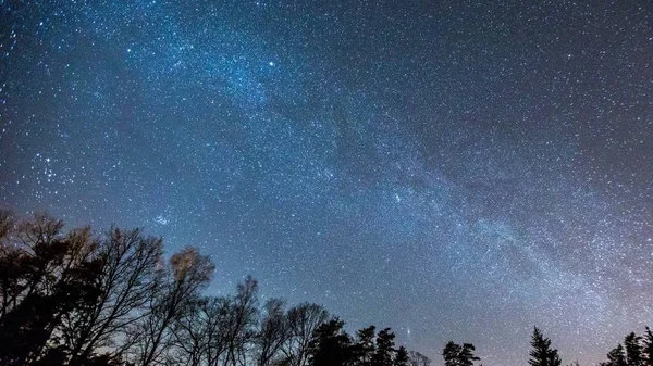 Nachthimmel Mit Milchstraße Über Dem Wald Frühling — Stockfoto