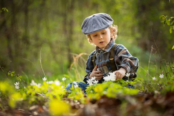 Menino Pequeno Brincando Floresta Primavera Pegando Flores Anêmona Branca — Fotografia de Stock