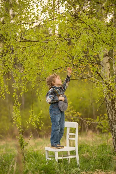 Mladý Blondýnka Chlapec Stojící Bílém Starém Křesle Pod Břízou Strom — Stock fotografie