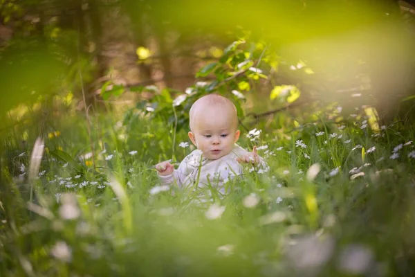 Menina Pequena Caucasiana Sentado Grama Floresta Linda Criança Menina Retrato — Fotografia de Stock