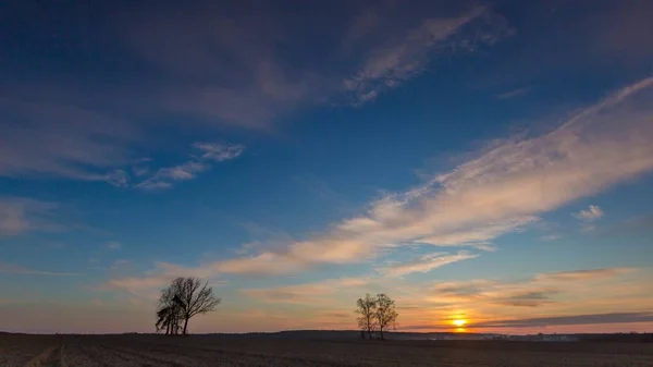 Bela Noite Céu Colorido Sobre Arados Campos Árvores Paisagem Típica — Fotografia de Stock