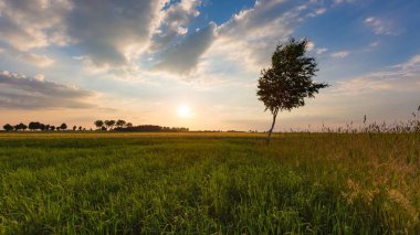 Güzel günbatımı gökyüzü sakin kırsal manzara içinde ceral alanın üzerinde. Lehçe manzara
