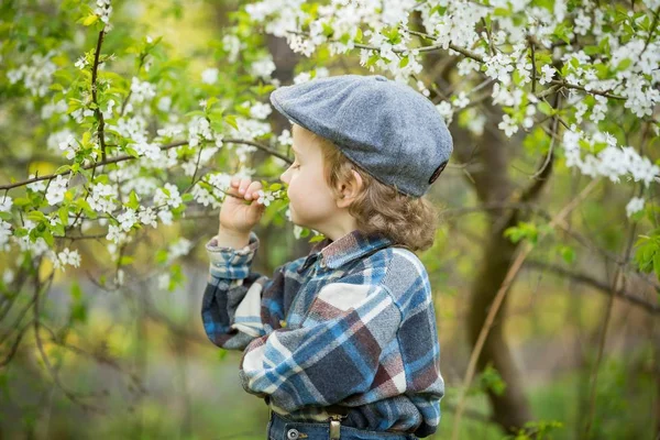 Ung Blond Pojke Poserar Blommande Fruktträdgård Våren — Stockfoto