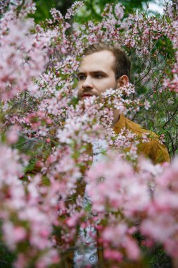 Yeşil ve gür pembe badem çiçekleri Genç sevimli şık adam rüyalar