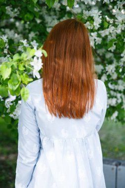 Güzel kızıl saçlı kız poz ve baharda bir elma renklerde rüya