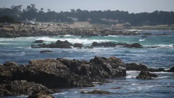 Hermosa vista de la costa rocosa del océano, un montón de gaviotas. — Vídeo de stock