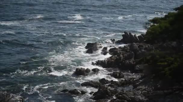 Bella vista sulla riva rocciosa dell'oceano, un sacco di gabbiani. — Video Stock