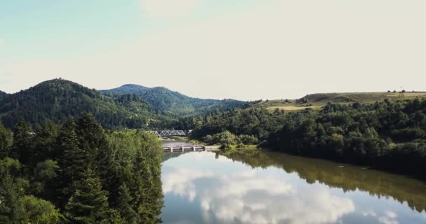 Flygfoto, Berg Carpatian skog flod landskap — Stockvideo