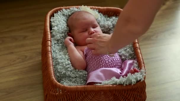 Фотограф готовит новорожденную девушку к фотосессии, переодевается, меняет фон, меняет позы — стоковое видео