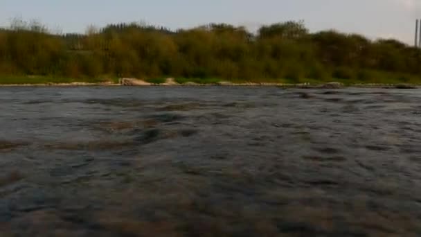 Il fiume di montagna nei Carpazi, l'acqua scorre lungo le rocce primo piano — Video Stock