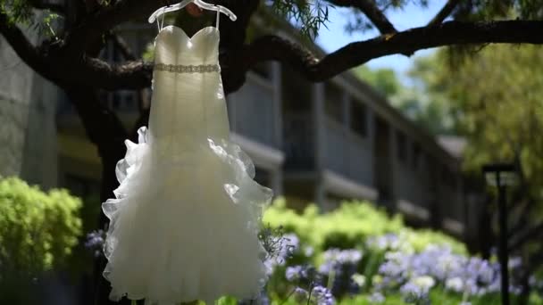 Wedding dress on a tree — Stock Video