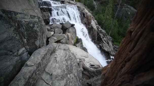 Bela cachoeira no rio na floresta em montanhas — Vídeo de Stock