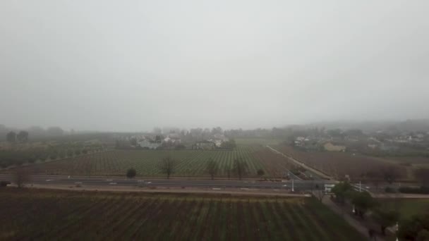 Aérea. hermosa casa grande en medio de un campo rodeado de palmeras — Vídeo de stock