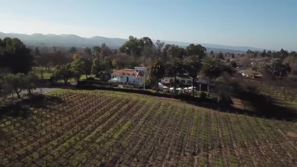 Aérea. hermosa casa grande en medio de un campo rodeado de palmeras — Vídeos de Stock