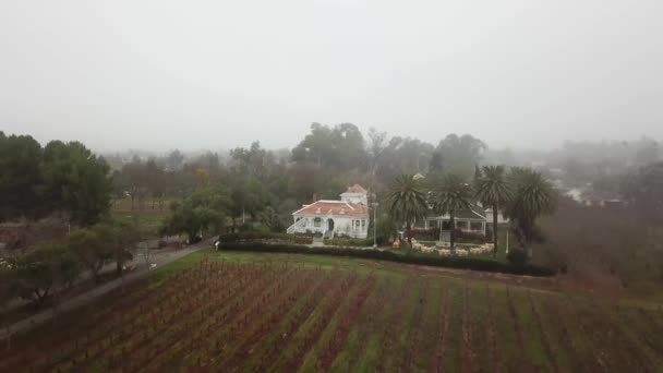 Aérea. hermosa casa grande en medio de un campo rodeado de palmeras — Vídeo de stock