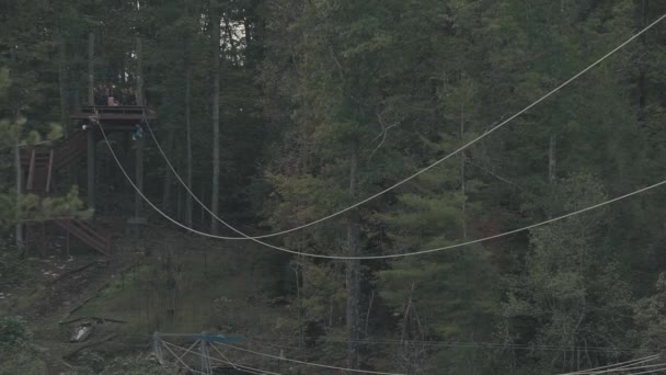 Los hombres montan una atracción de tirolina en el bosque — Vídeo de stock