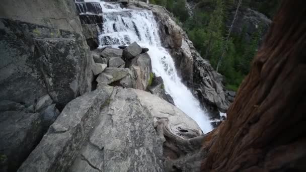Vackra vattenfall på floden i skogen i bergen — Stockvideo