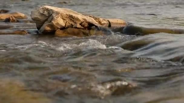 Carpathians에서 산악 강, 바위 클로즈업 따라 물 흐르는 — 비디오