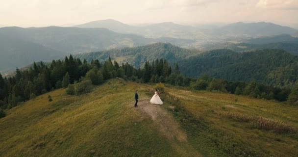 Nevěsta a ženich na hoře Karpat, letecký videozáznam — Stock video