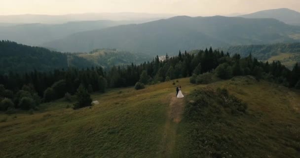 신부와 신랑에 산에 카르파티아, 항공 비디오 — 비디오