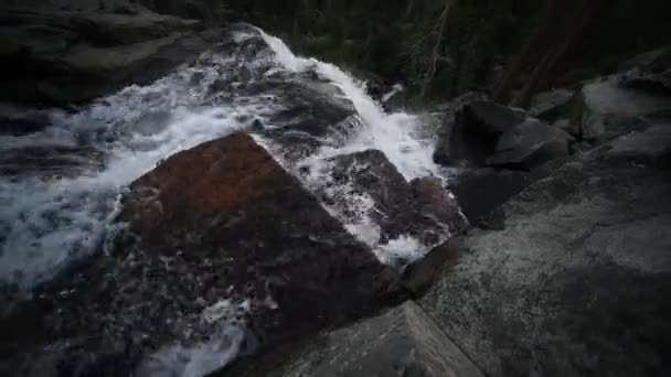 Beautiful waterfall on river in forest in mountains — Stock Footage Beautiful waterfall on river in forest in mountains Royalty Free Stock Footage